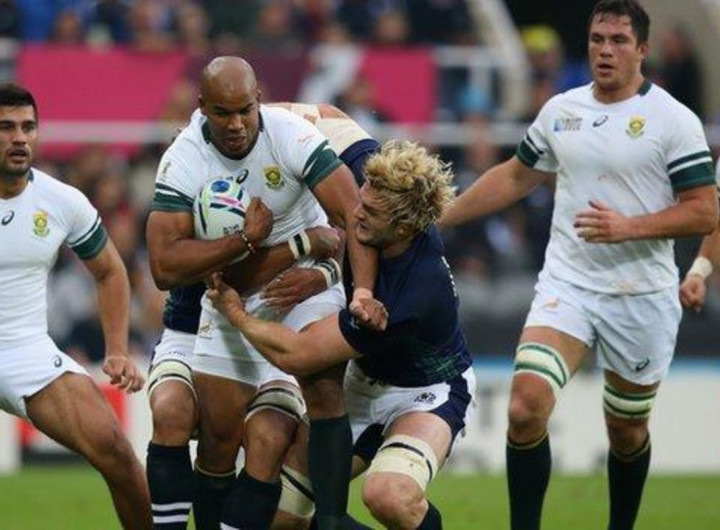 Rugby World Cup: South Africa v Scotland