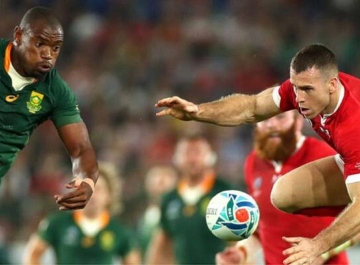Rugby World Cup: South Africa v Romania